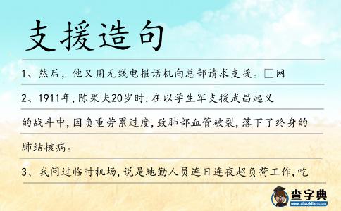 支援造句