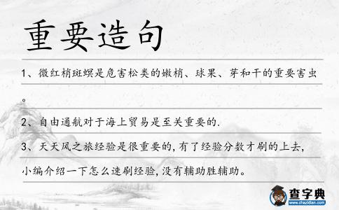 重要造句