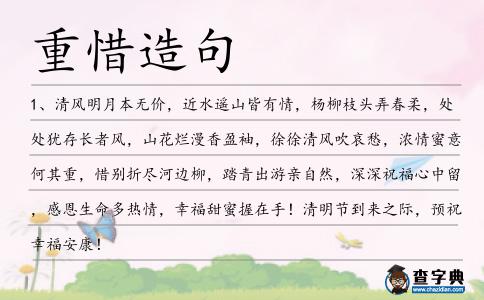 重惜造句
