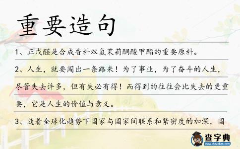 重要造句