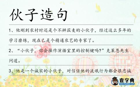 伙子造句