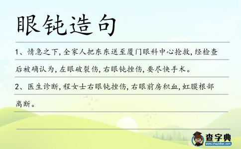 眼鈍造句