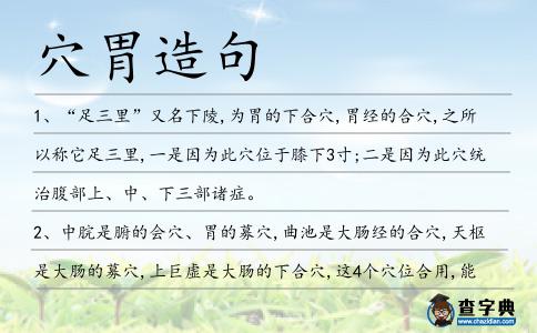 穴胃造句