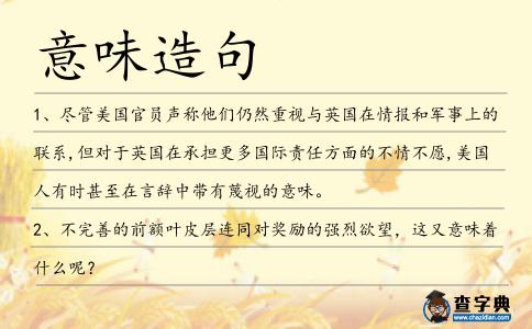 意味造句