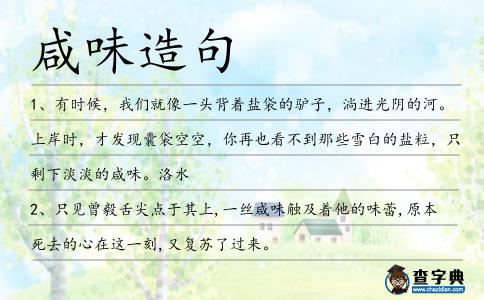 咸味造句