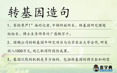 轉(zhuǎn)基因造句
