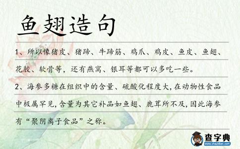 魚翅造句