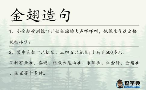 金翅造句