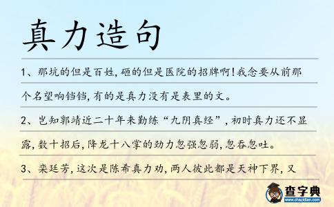 真力造句