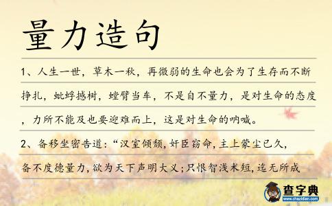 量力造句