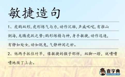 敏捷造句