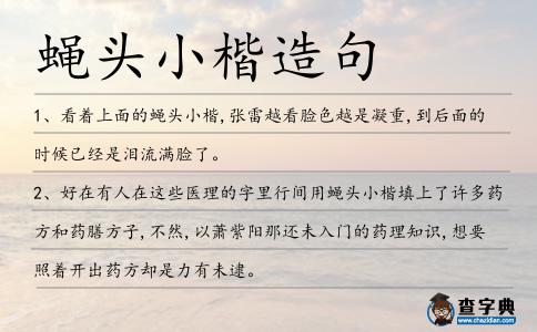 蠅頭小楷造句