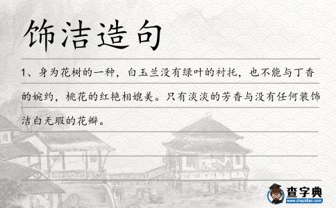 飾潔造句