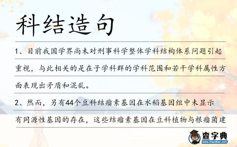 科結造句