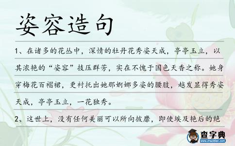 姿容造句