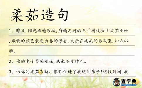 柔茹造句