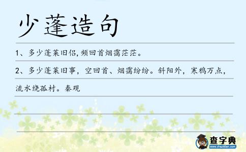 少蓬造句