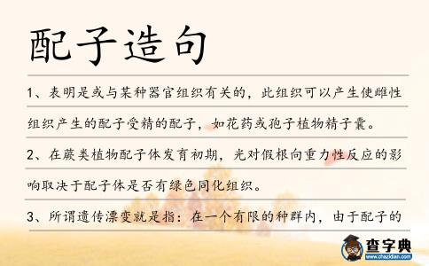 配子造句
