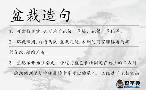 盆栽造句