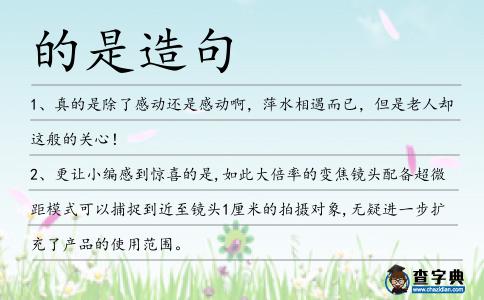 的是造句