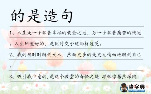的是造句