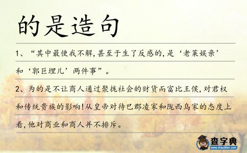 的是造句