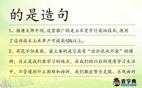 的是造句