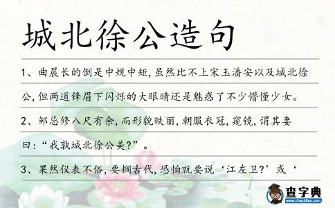 城北徐公造句