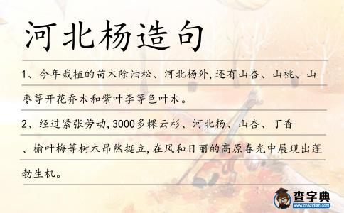 河北楊造句