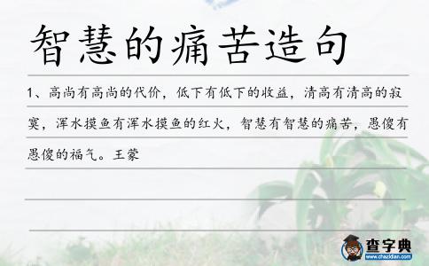 智慧的痛苦造句