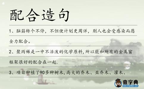 配合造句