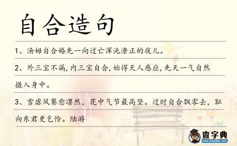 自合造句