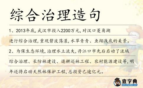 綜合治理造句