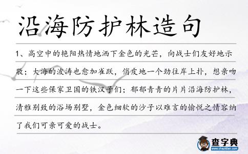 沿海防護林造句