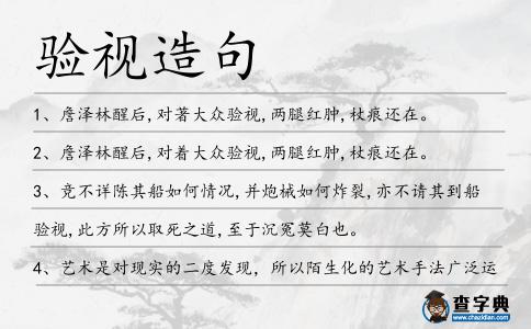 驗視造句