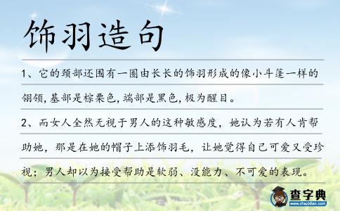 飾羽造句
