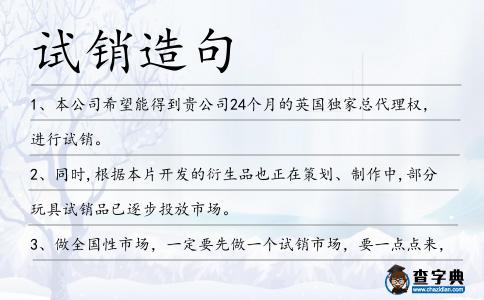 試銷造句