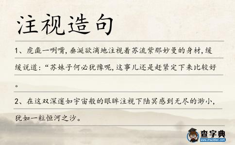 注視造句