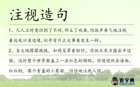 注視造句