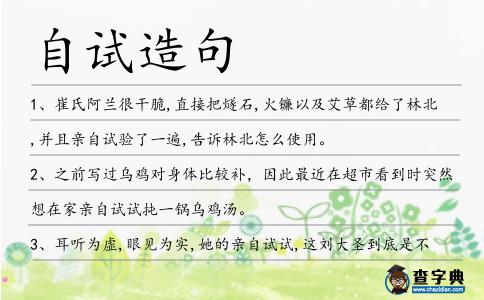 自試造句
