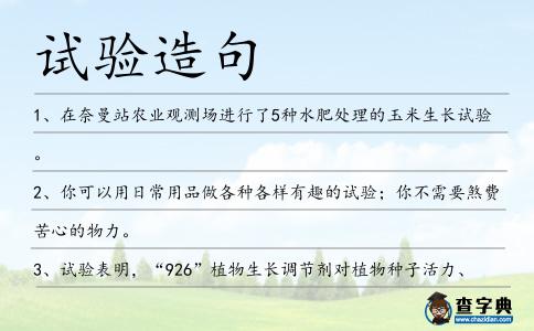 試驗造句
