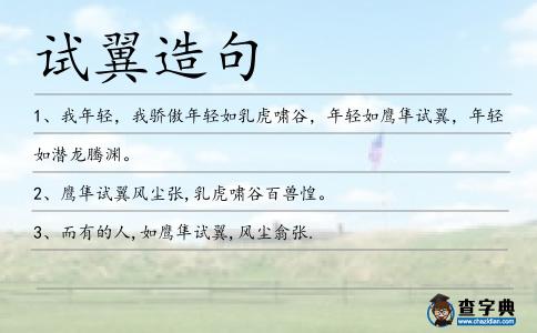 試翼造句