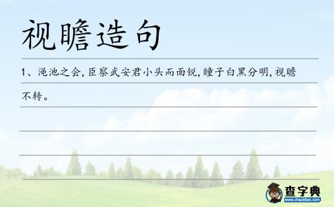 視瞻造句