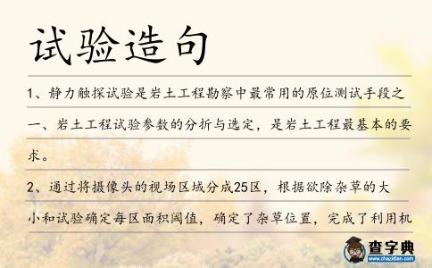 試驗造句