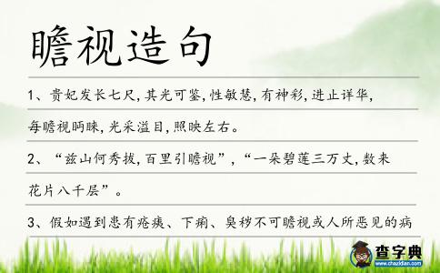 瞻視造句