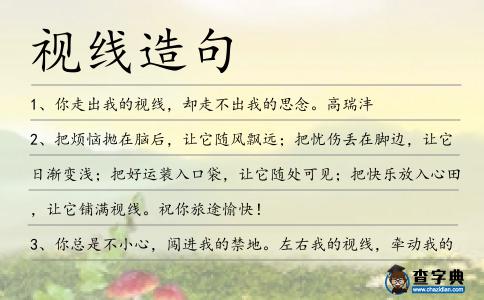 視線造句