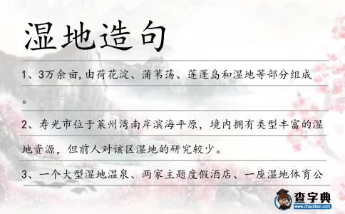 濕地造句