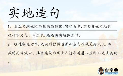 實(shí)地造句