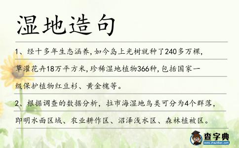 濕地造句
