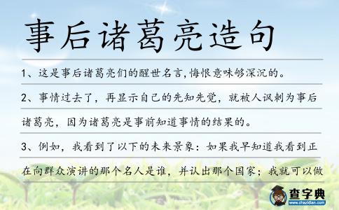 事后諸葛亮造句